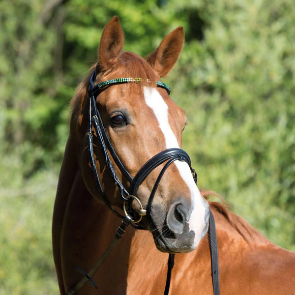 Kieffer Magic Tack Snaffle Bridle