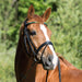 Kieffer Magic Tack Snaffle Bridle product photo