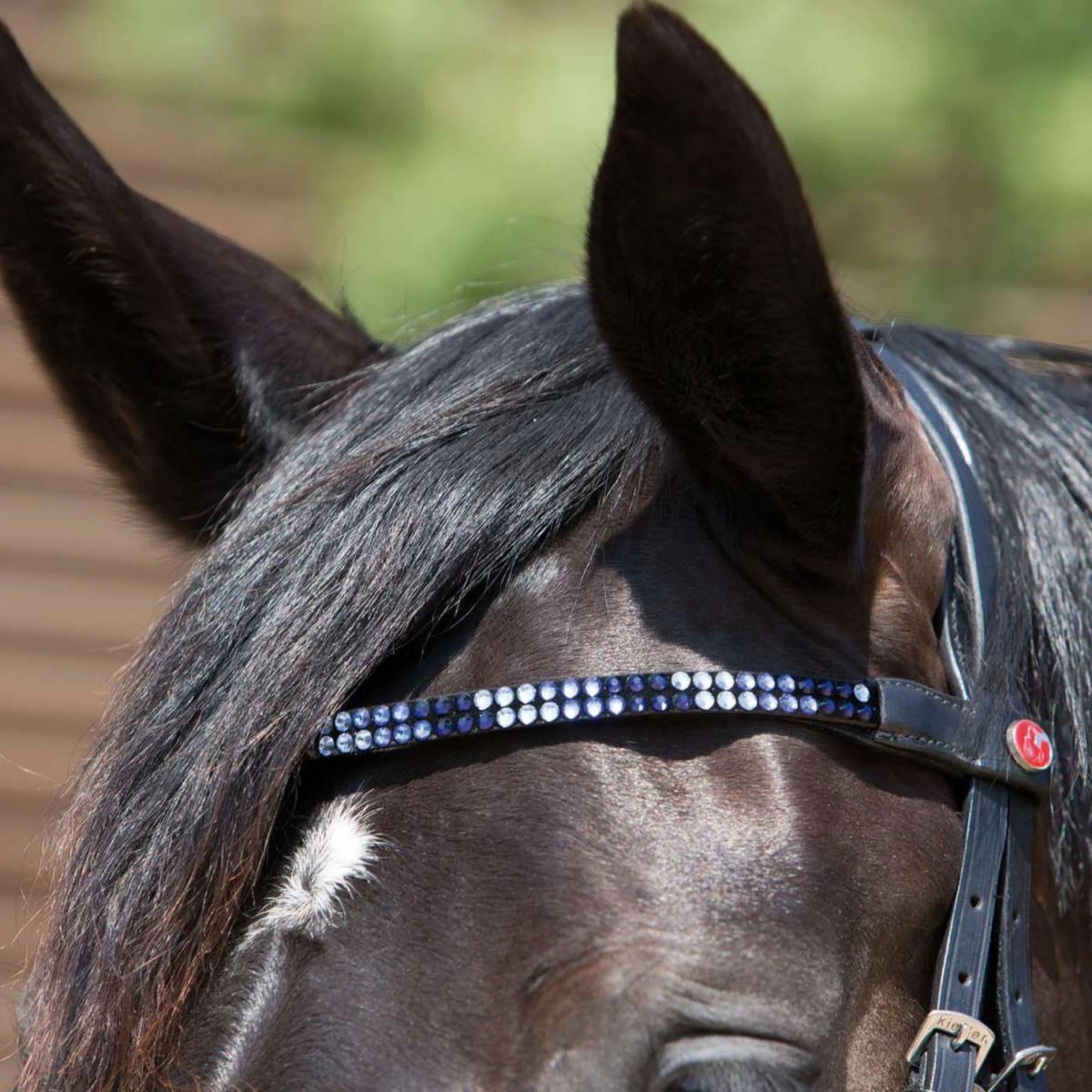 Kieffer Magic Tack Snaffle Bridle product photo