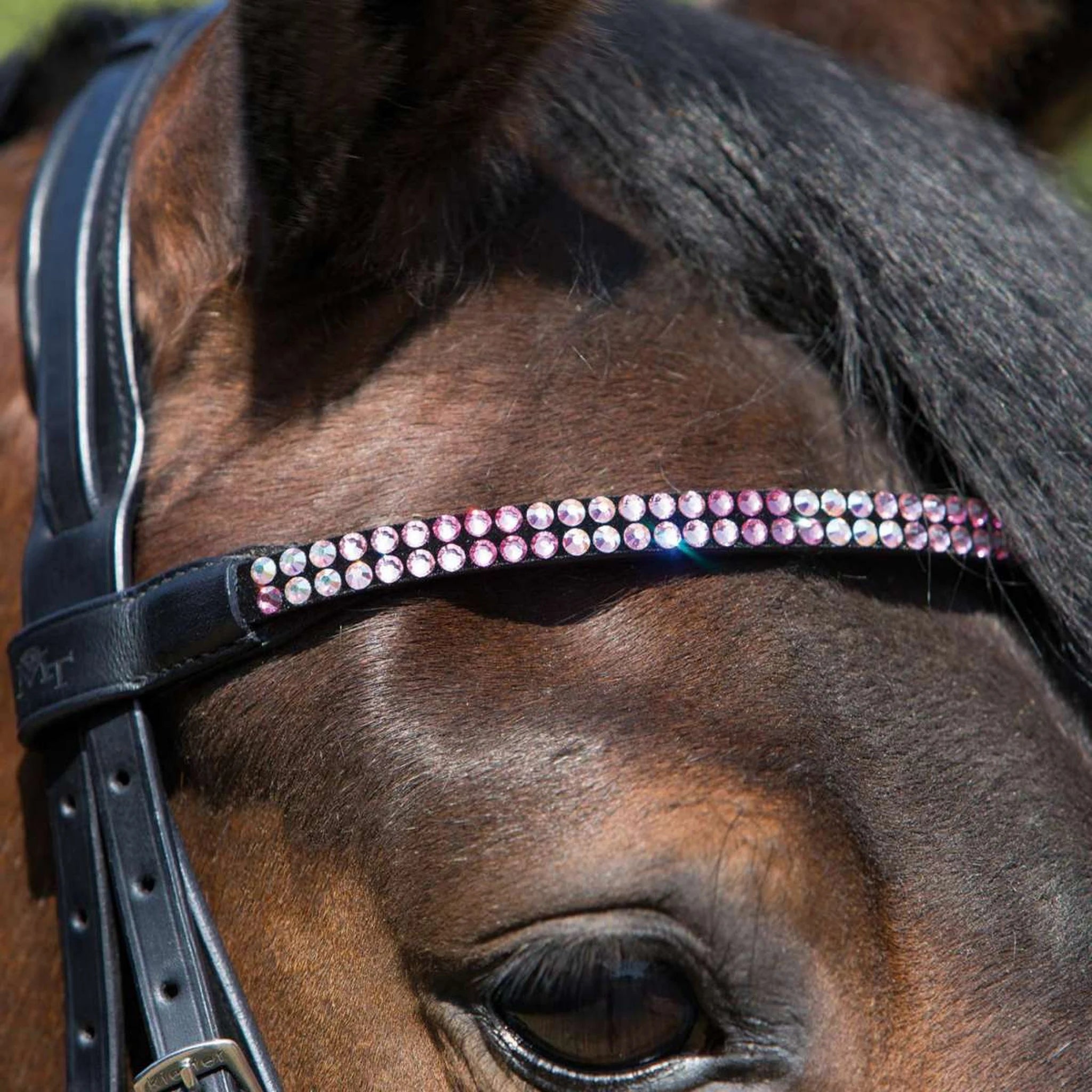 Kieffer Magic Tack Snaffle Bridle product photo