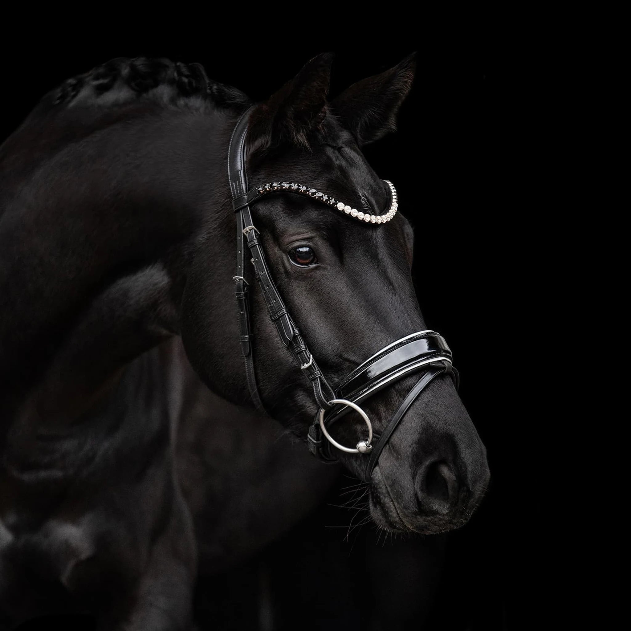 Kieffer Nora Snaffle Bridle product photo