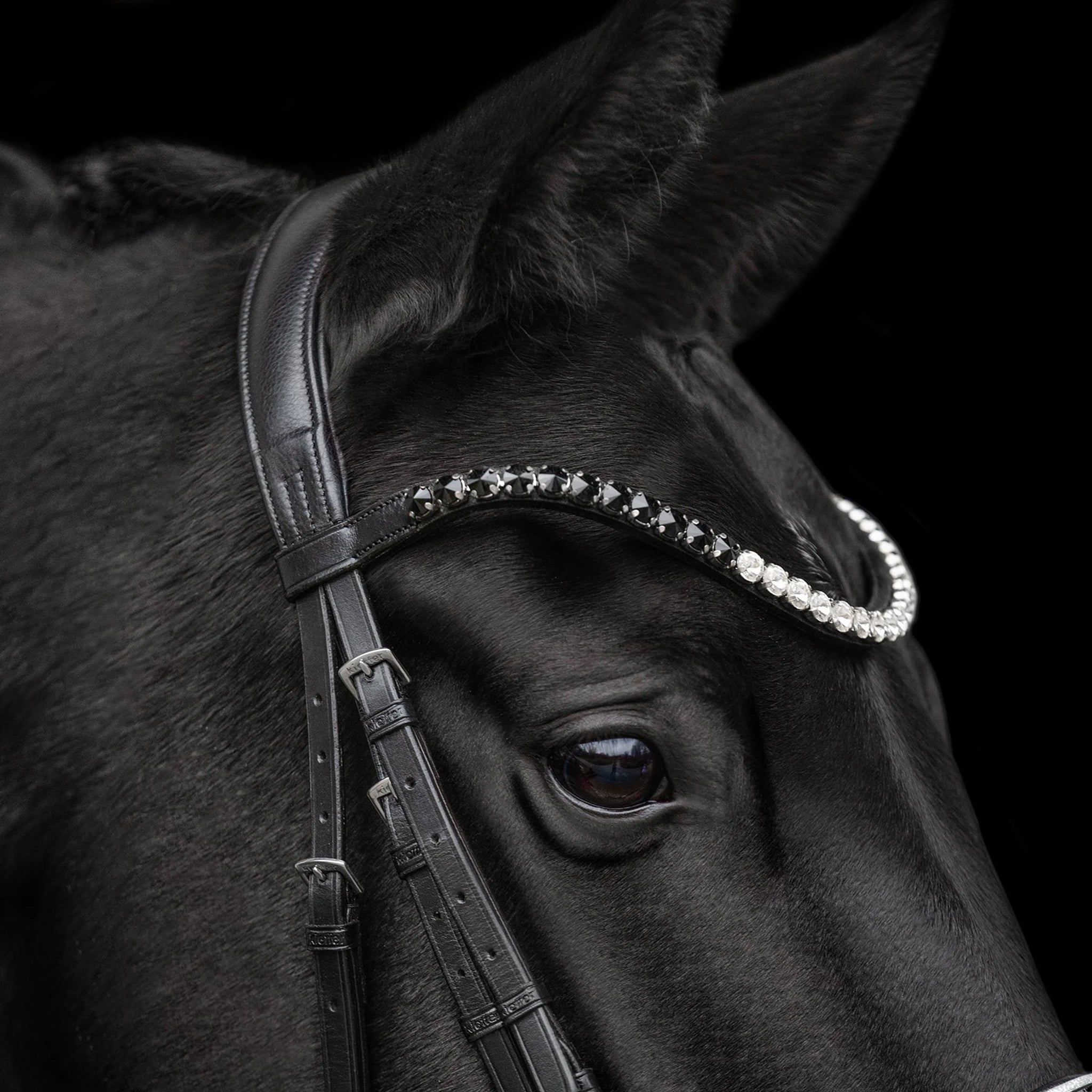 Kieffer Nora Snaffle Bridle product photo