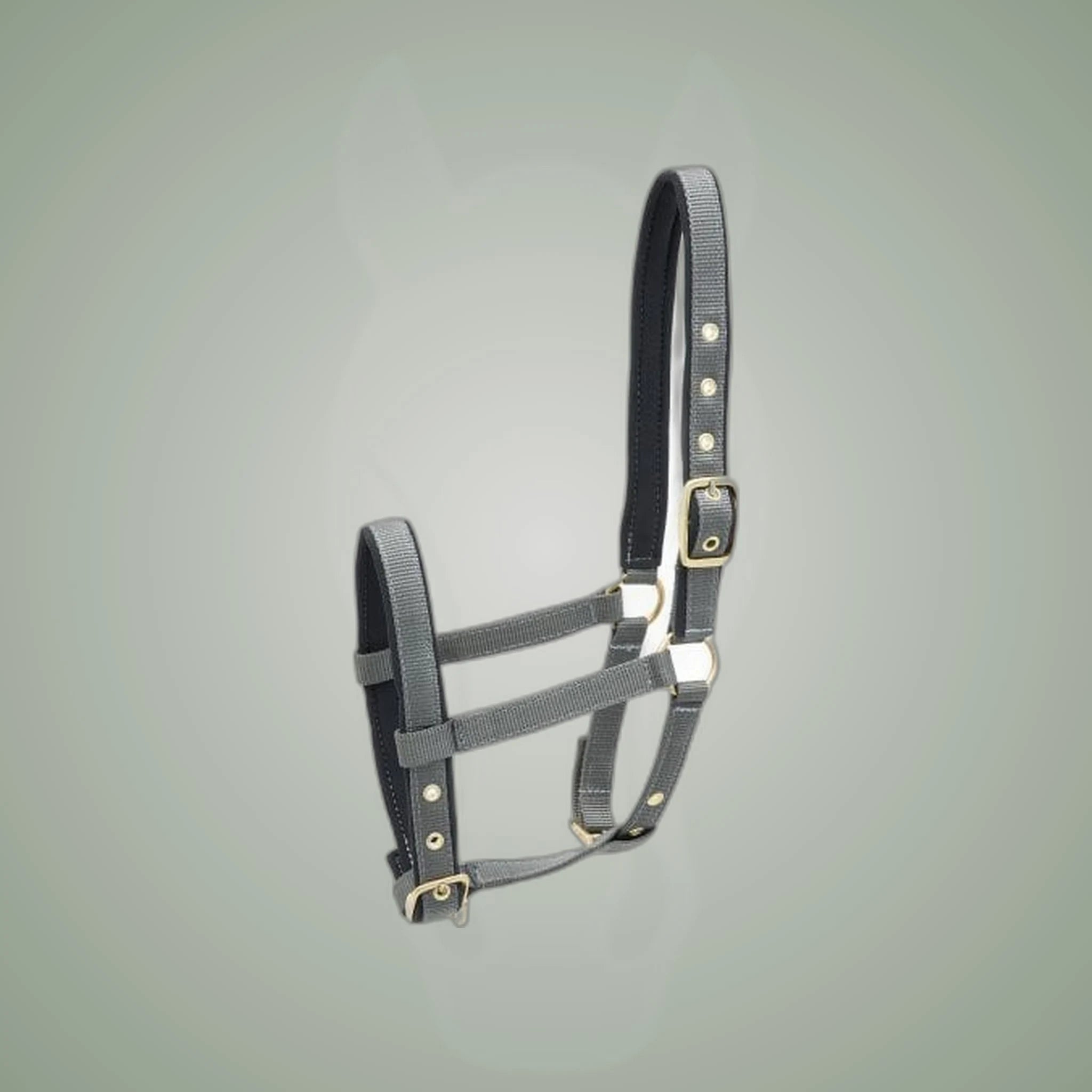 Kieffer Nylon Foal Halter on One-Eyed Equine branded background