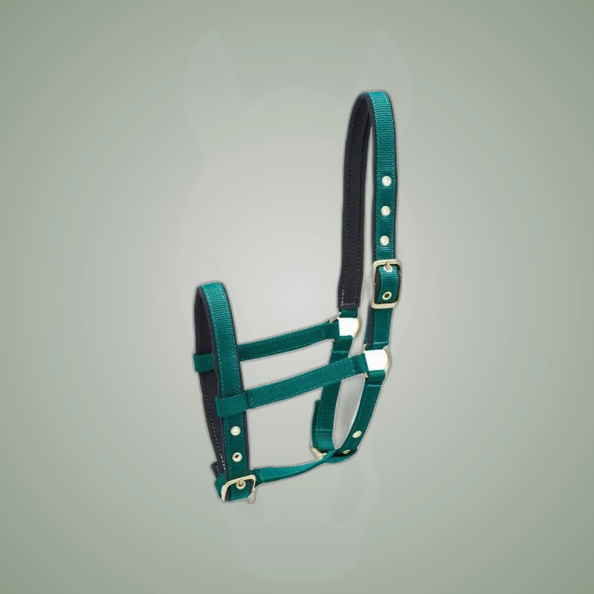 Kieffer Nylon Foal Halter on One-Eyed Equine branded background