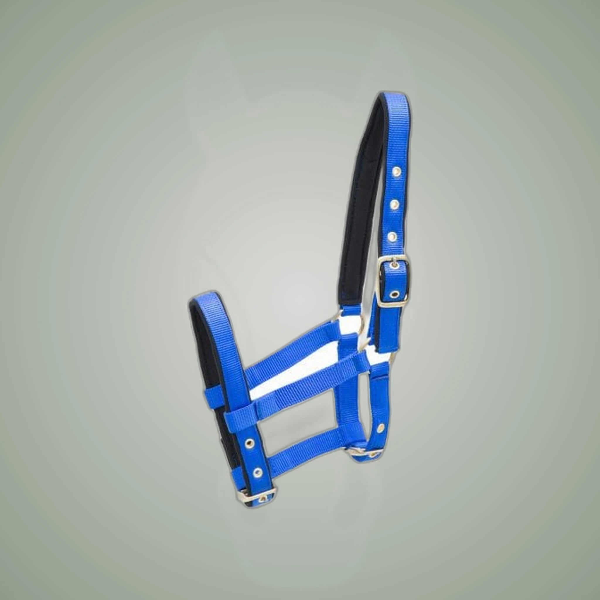 Kieffer Nylon Foal Halter on One-Eyed Equine branded background