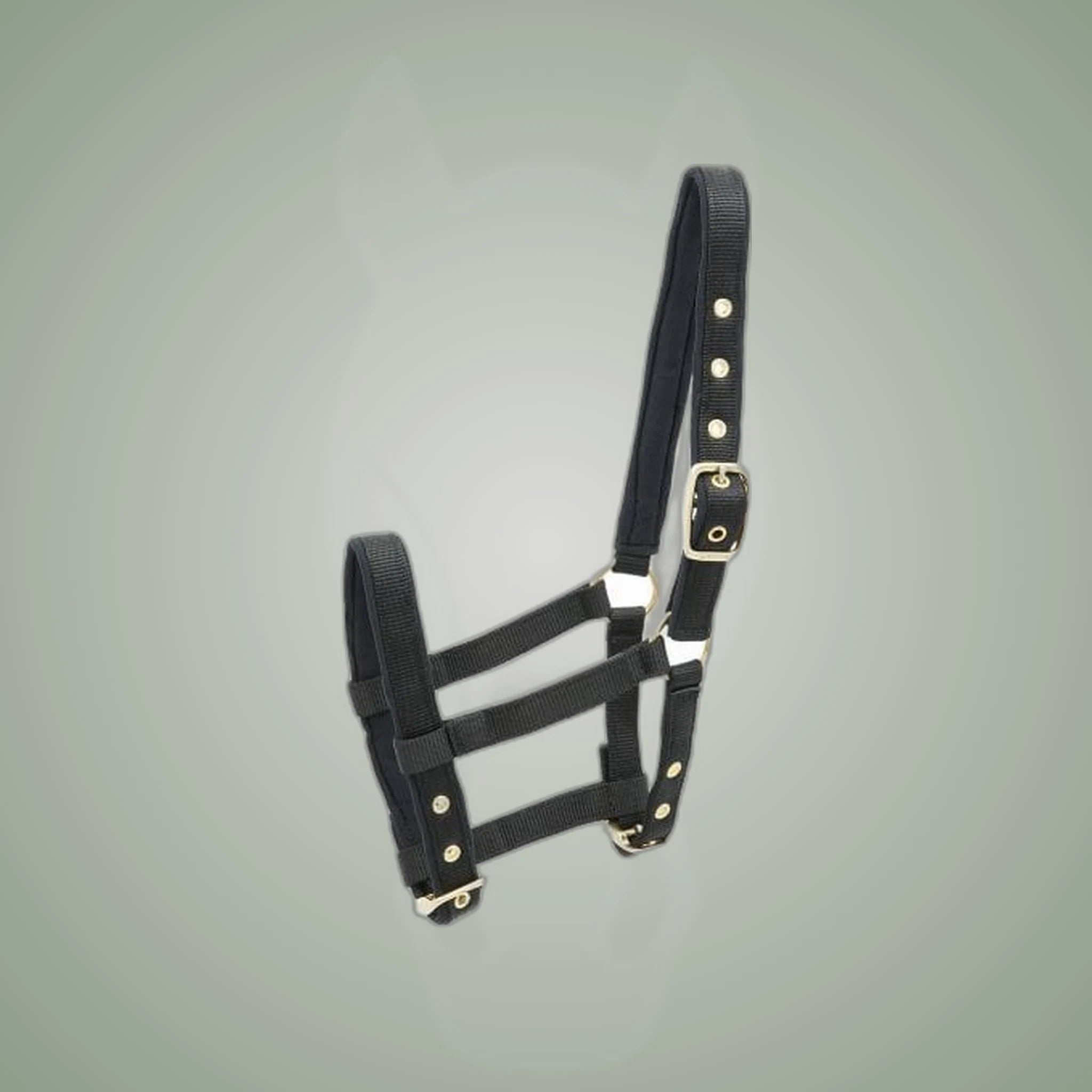 Kieffer Nylon Foal Halter on One-Eyed Equine branded background