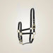 Kieffer Classic Nylon Halter on One-Eyed Equine branded background