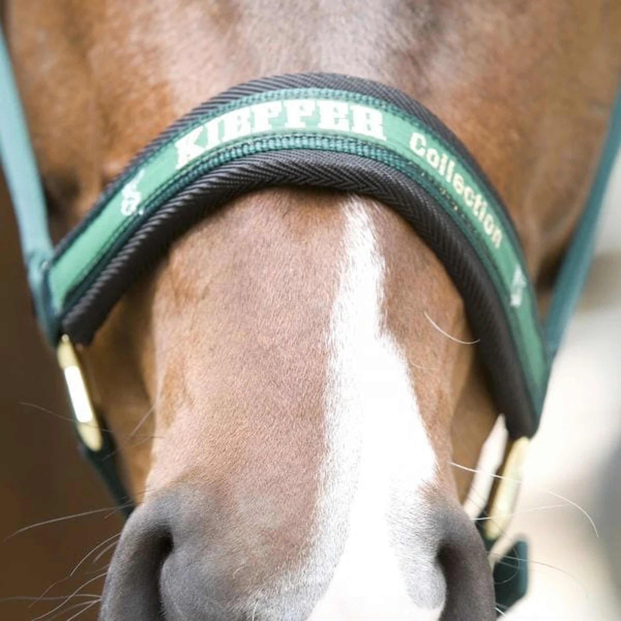 Kieffer Nylon Halter - Collection product photo