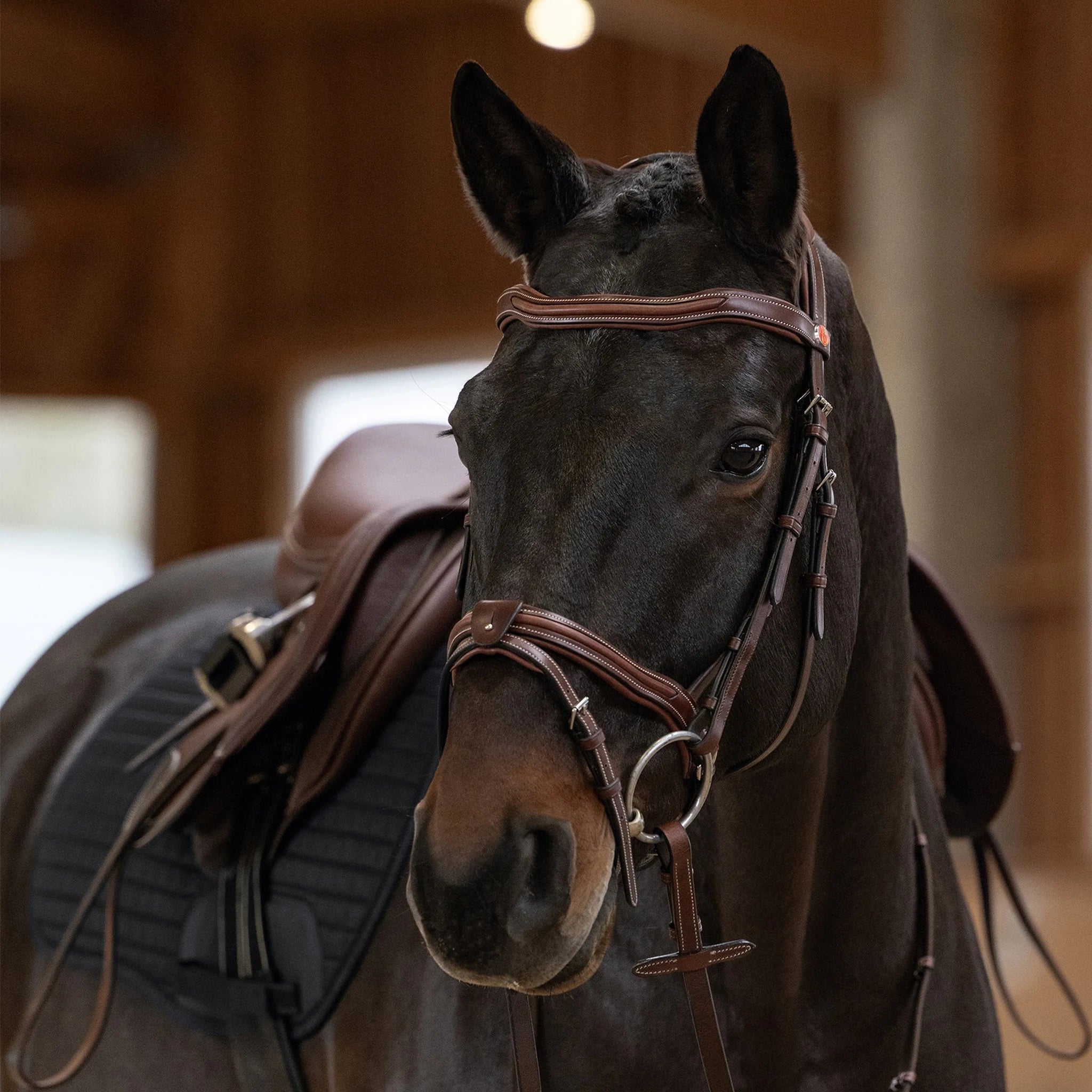 Kieffer Palmanova Snaffle Bridle product photo
