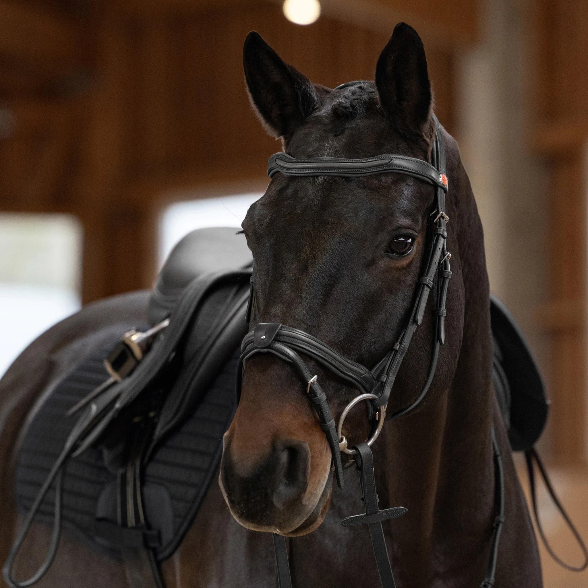 Kieffer Palmanova Snaffle Bridle product photo