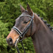Kieffer Paris double bridle on a bay horse, close view of the noseband and bits.