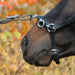Kieffer Perfect Lunging Cavesson product photo
