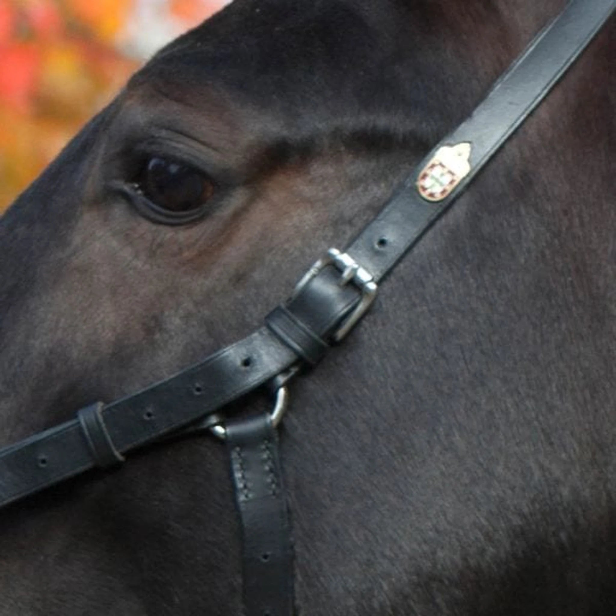 Kieffer Perfect Lunging Cavesson product photo