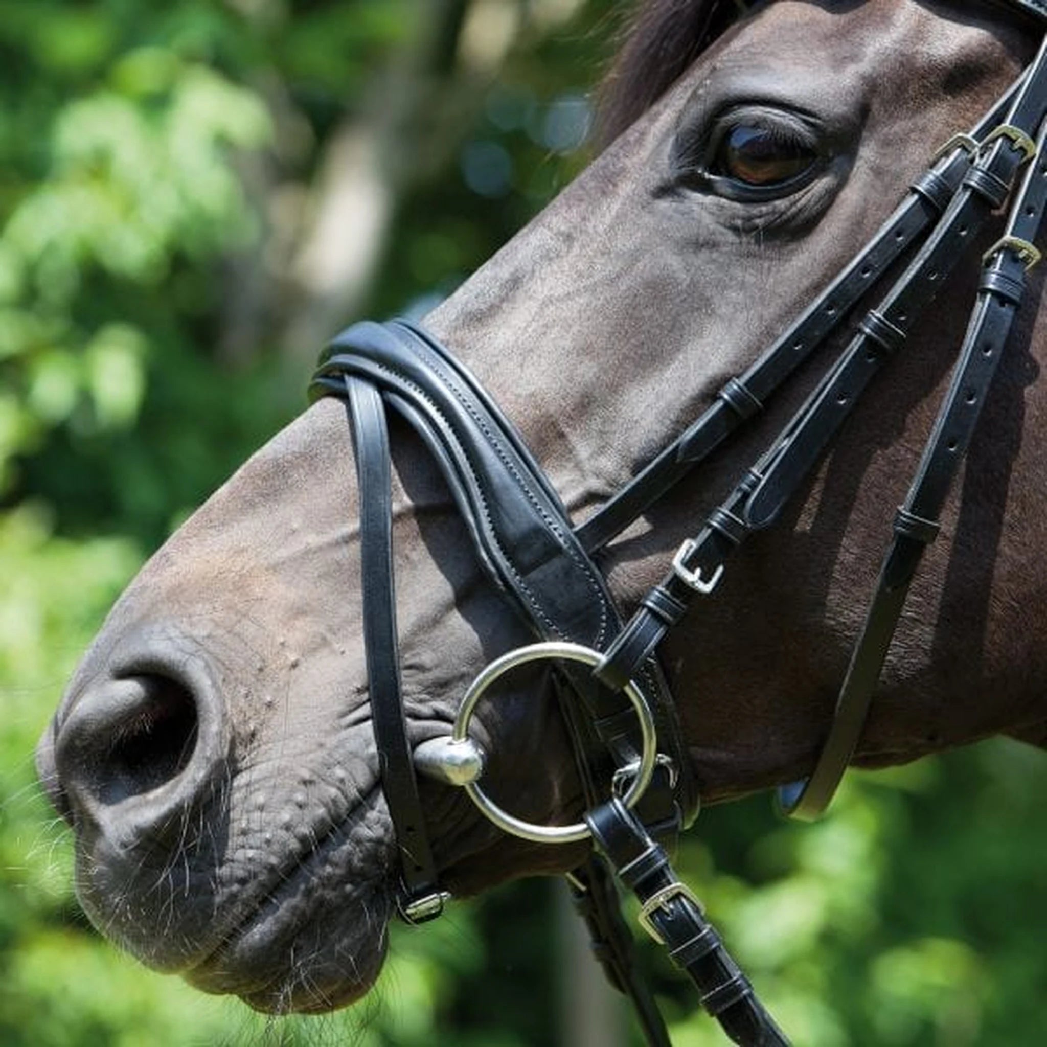 Kieffer Perseus Snaffle Bridle product photo