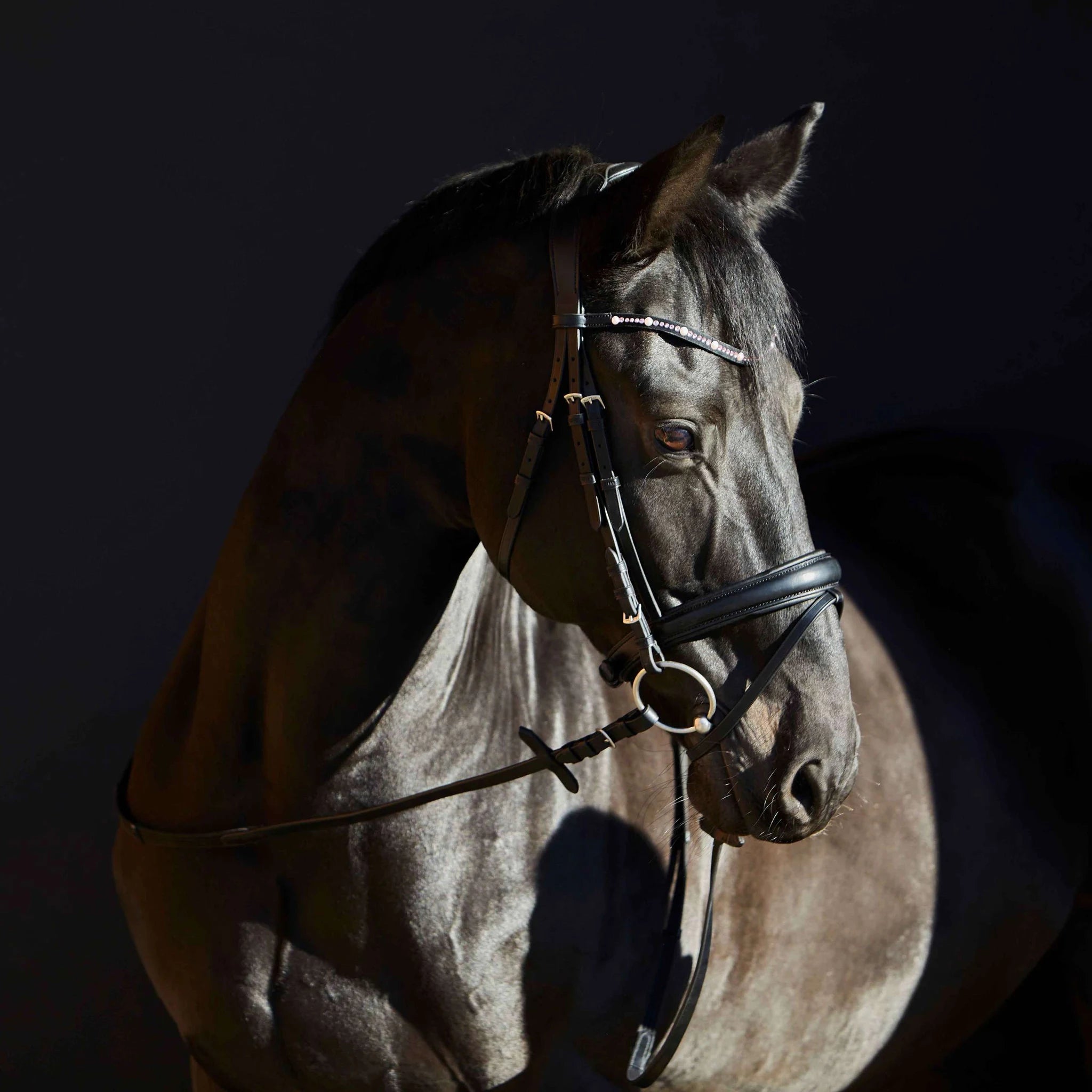Kieffer Priya Snaffle Bridle product photo