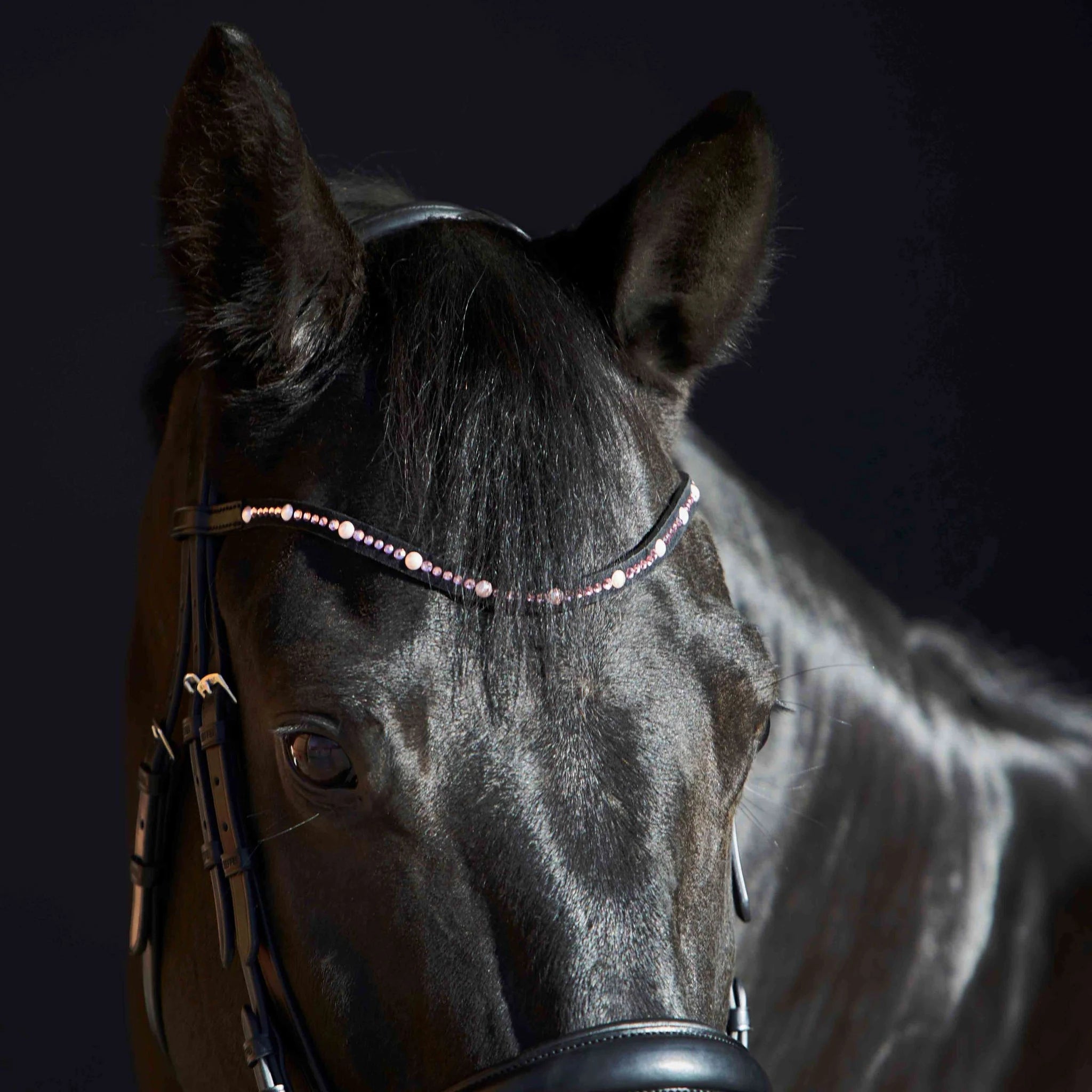 Kieffer Priya Snaffle Bridle product photo