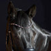 Kieffer Priya Snaffle Bridle product photo