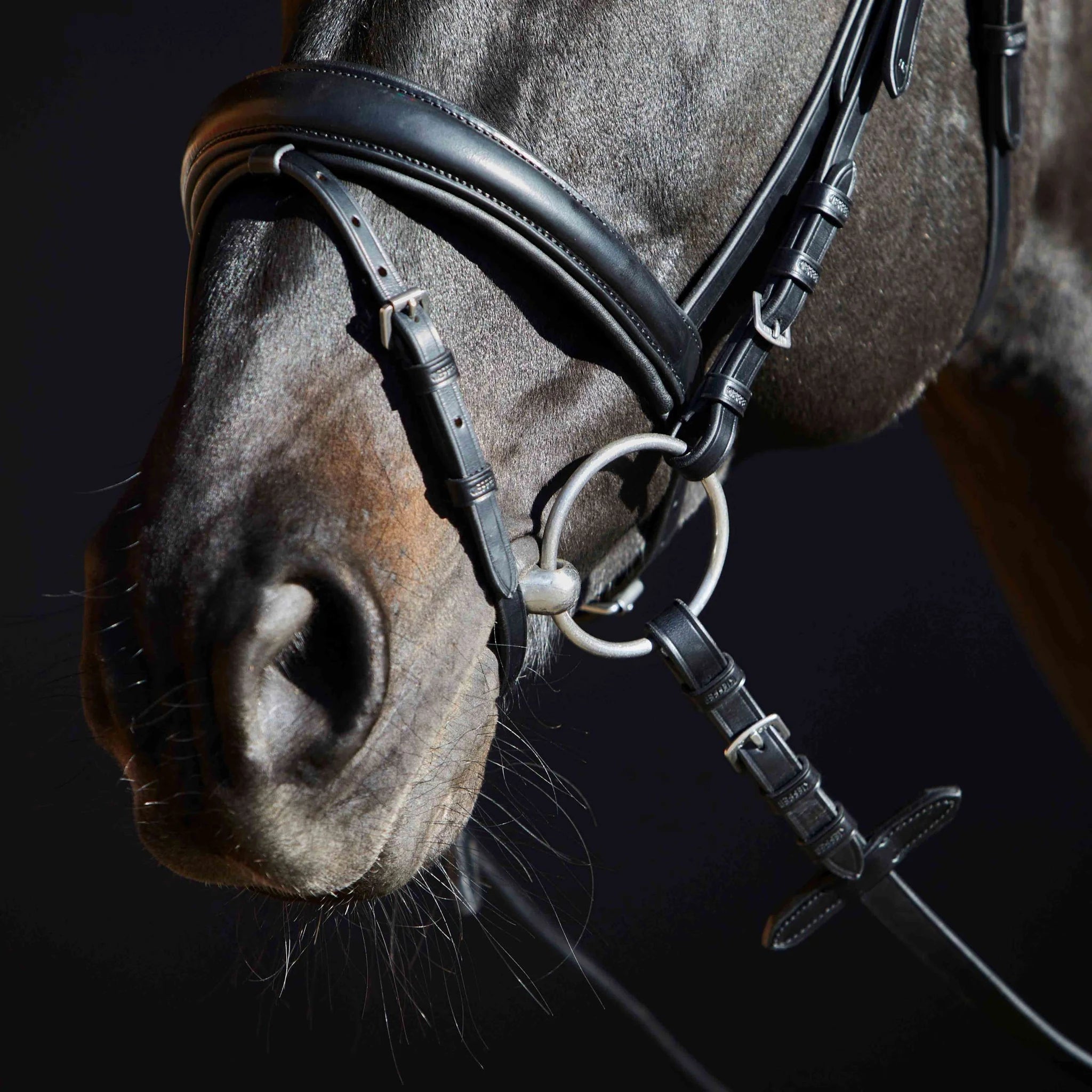 Kieffer Priya Snaffle Bridle product photo