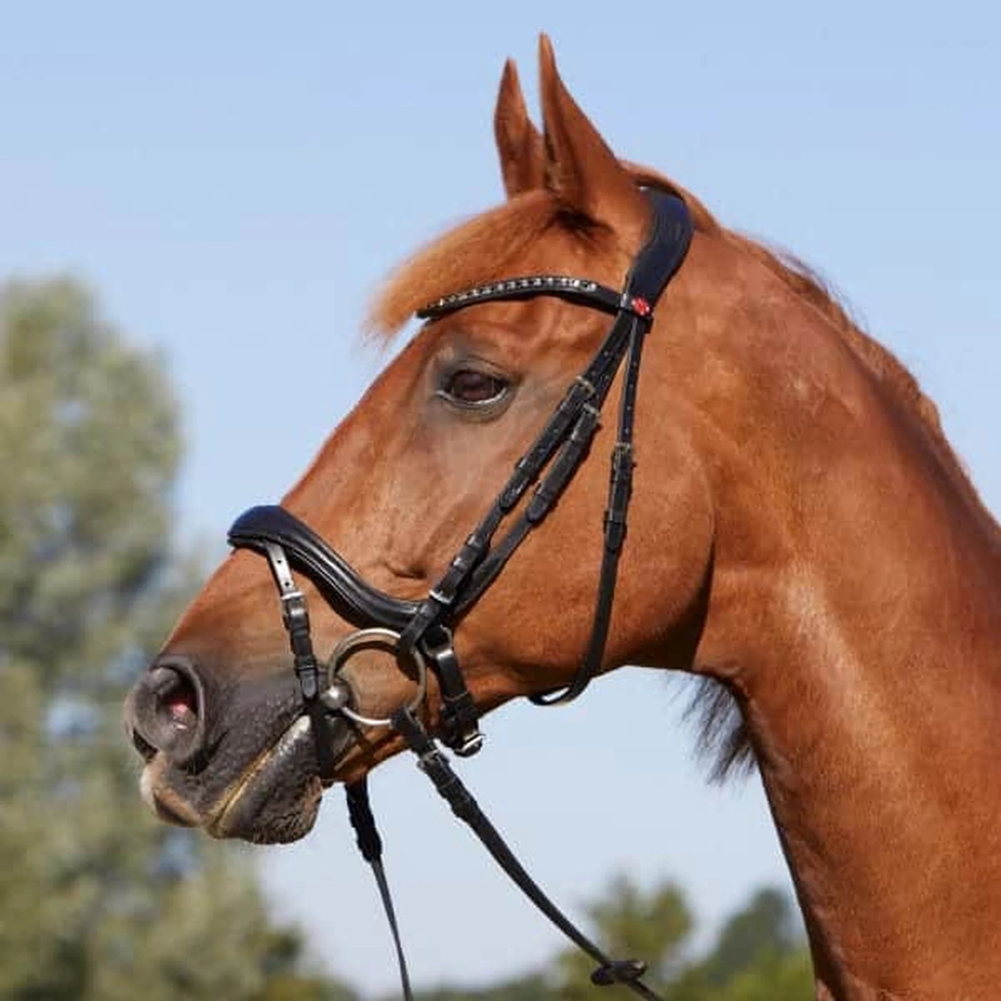 Kieffer Rachel Snaffle Bridle product photo