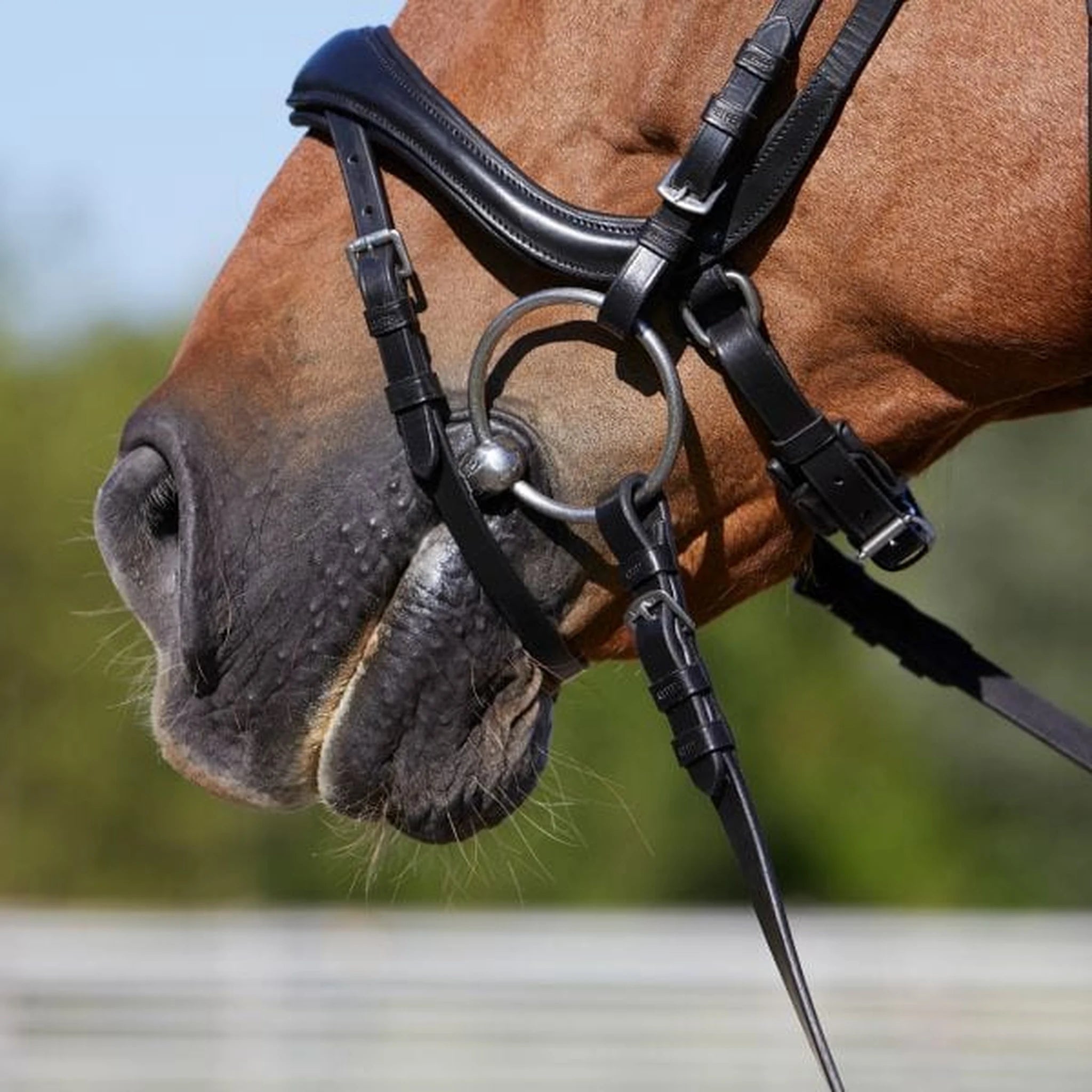 Kieffer Rachel Snaffle Bridle product photo