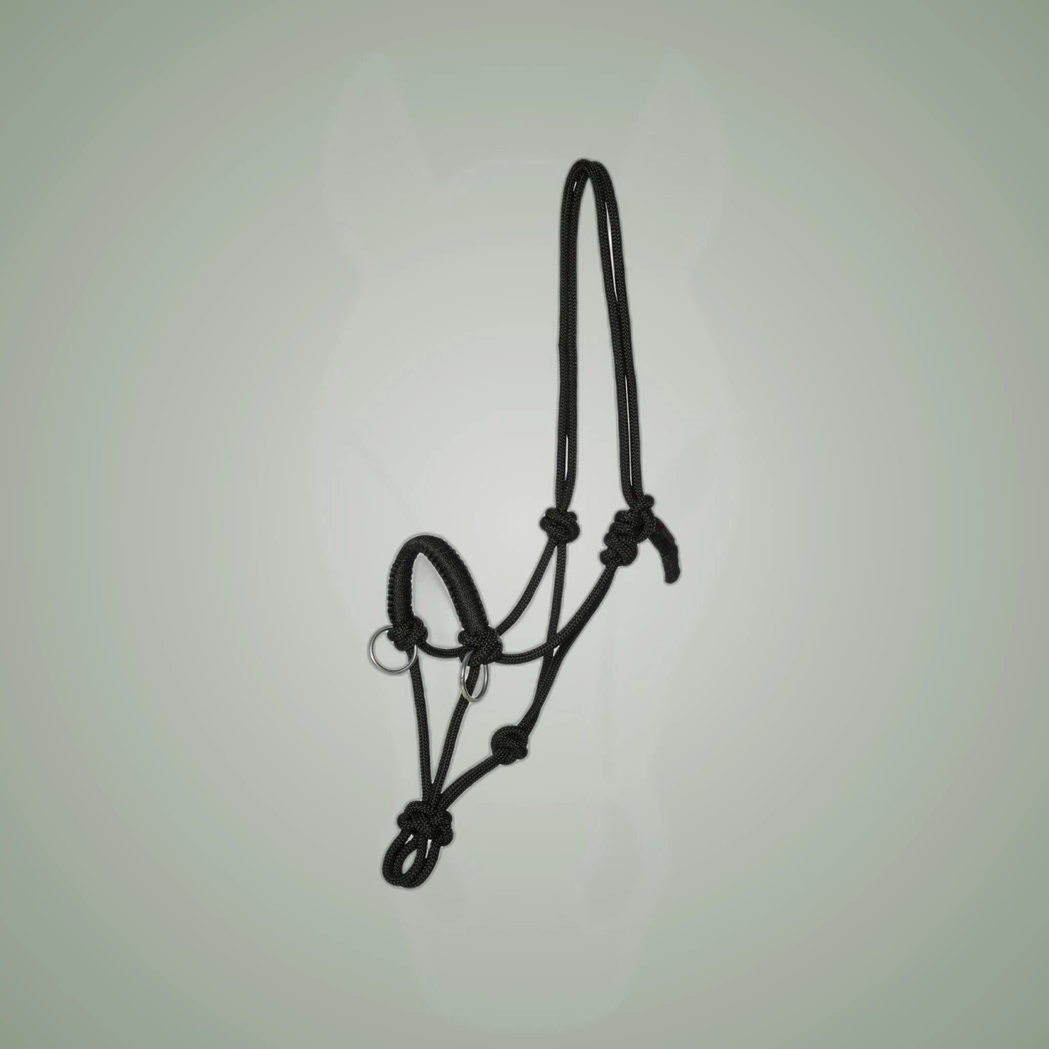 Kieffer Ruby Rope Halter/Bridle Combo