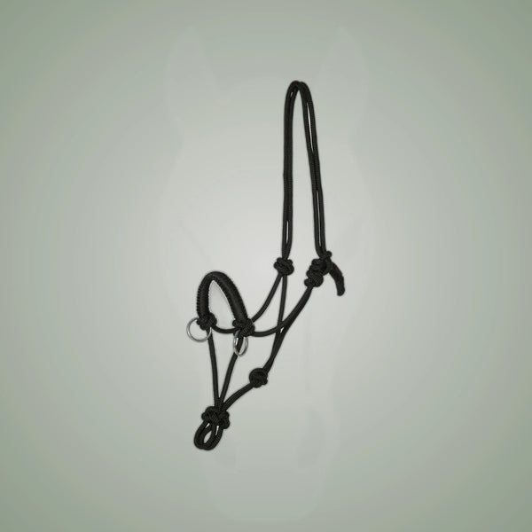 Kieffer Ruby Rope Halter/Bridle Combo