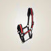 Kieffer Supreme Nylon Halter on One-Eyed Equine branded background