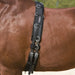 Kieffer Surcingle product photo