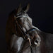 Kieffer Ultrasoft Amy Double Bridle product photo