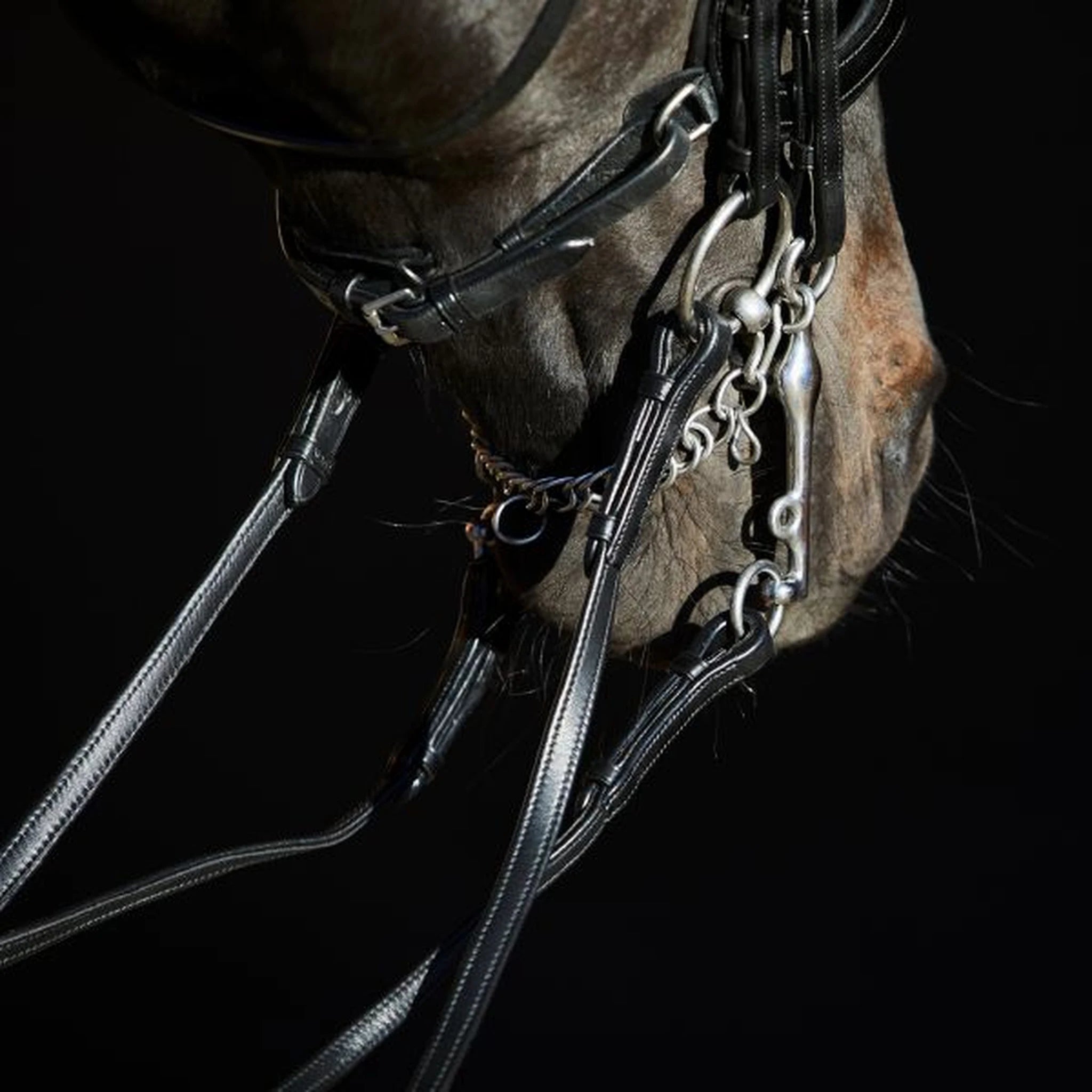 Kieffer Ultrasoft Amy Double Bridle product photo