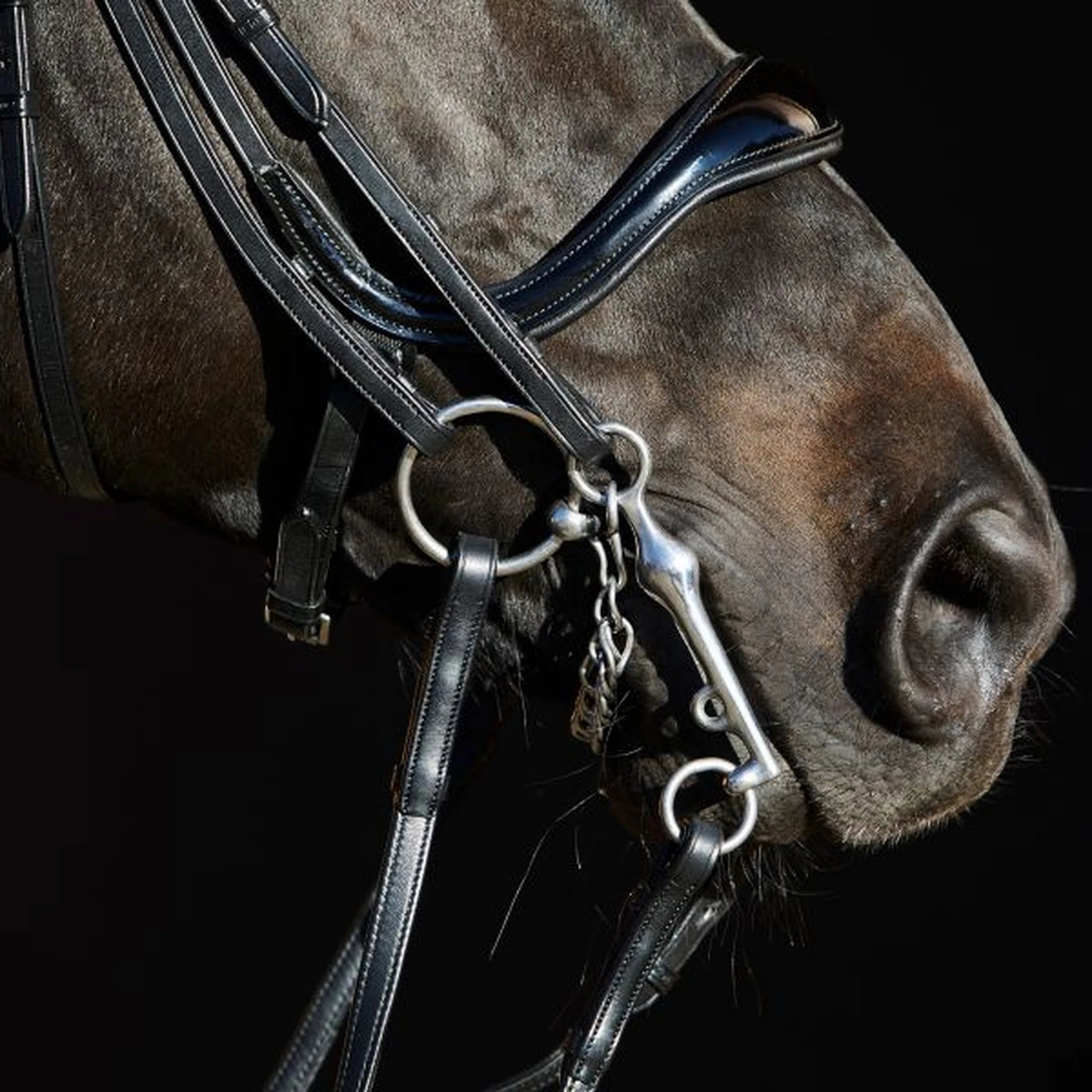 Kieffer Ultrasoft Amy Double Bridle product photo