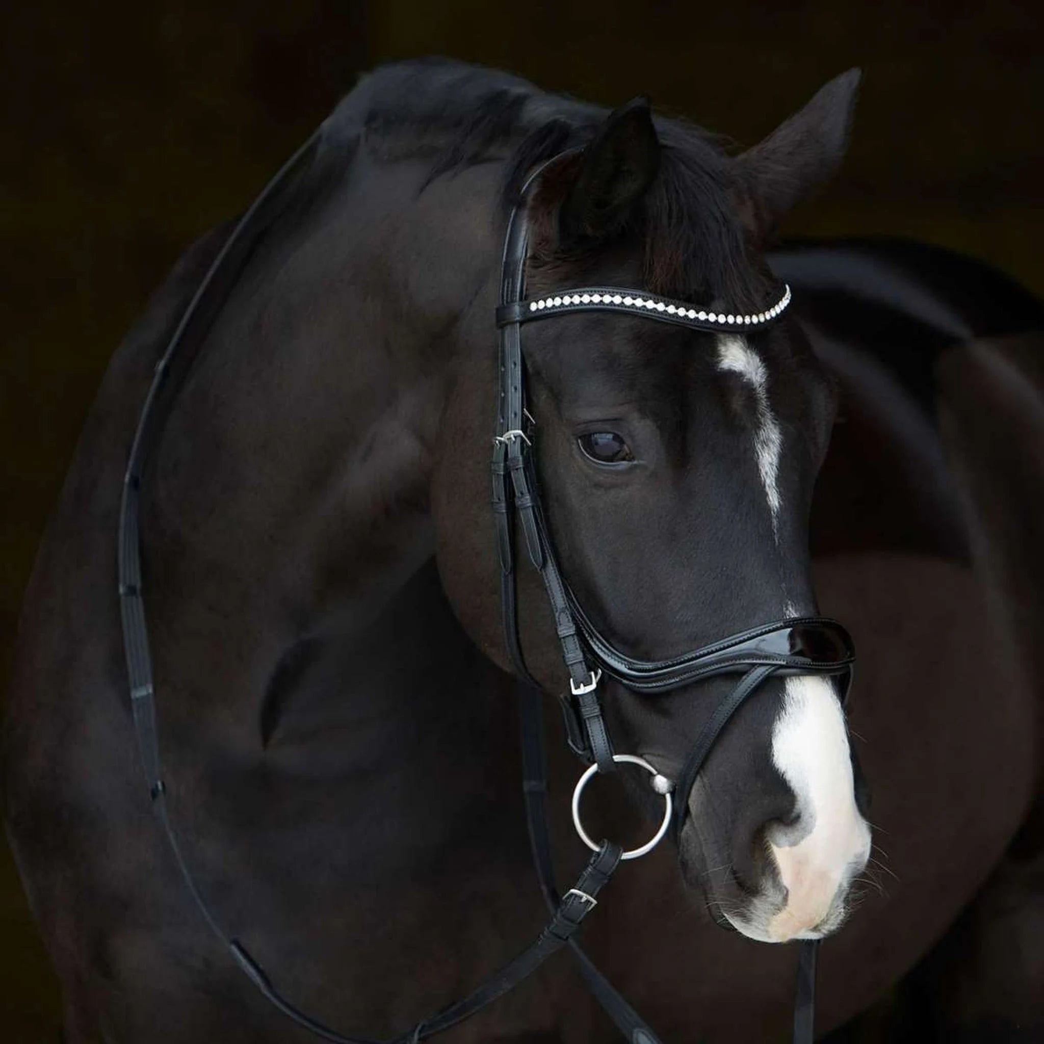 Kieffer Ultrasoft Amy Shine Snaffle Bridle product photo