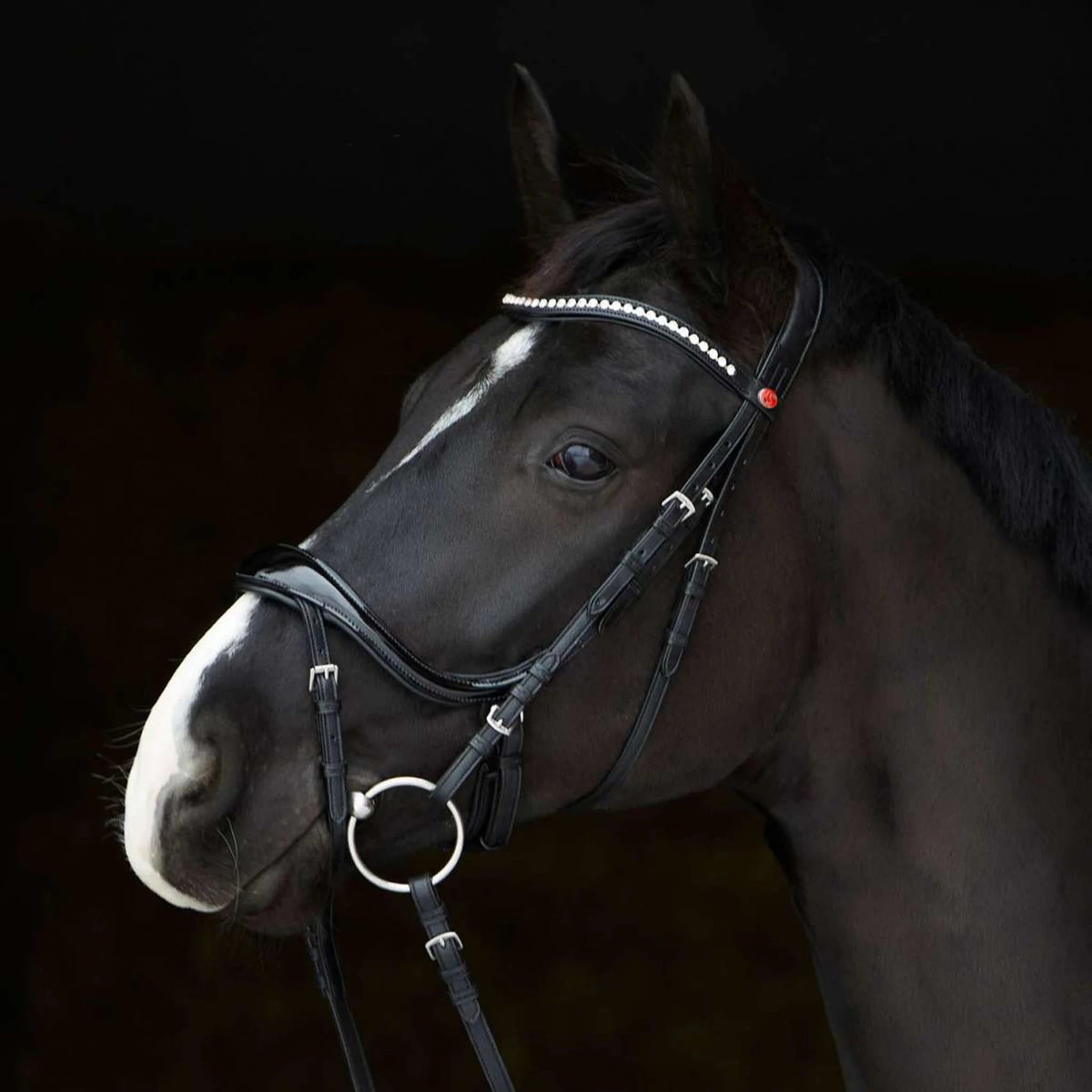 Kieffer Ultrasoft Amy Shine Snaffle Bridle product photo