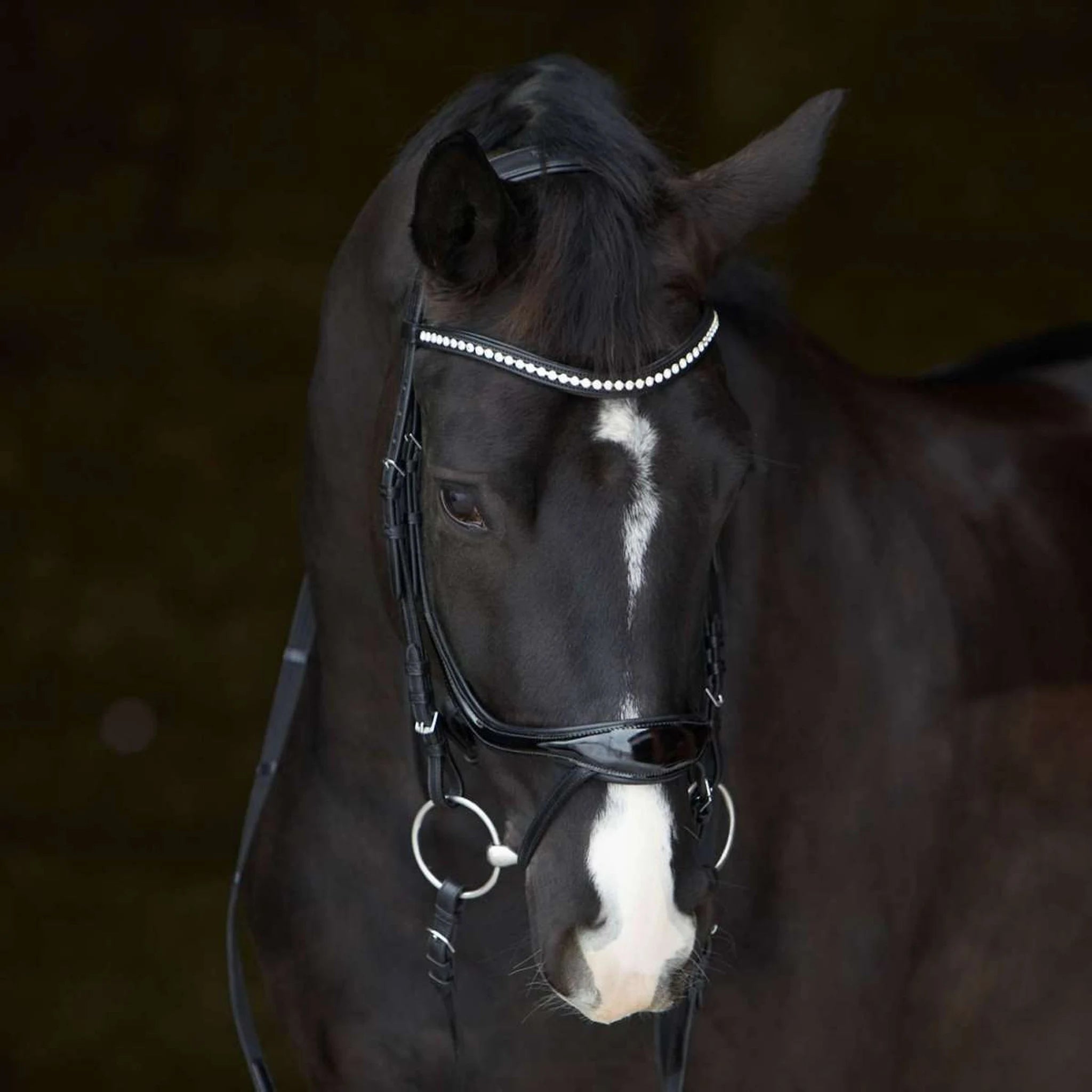 Kieffer Ultrasoft Amy Shine Snaffle Bridle product photo