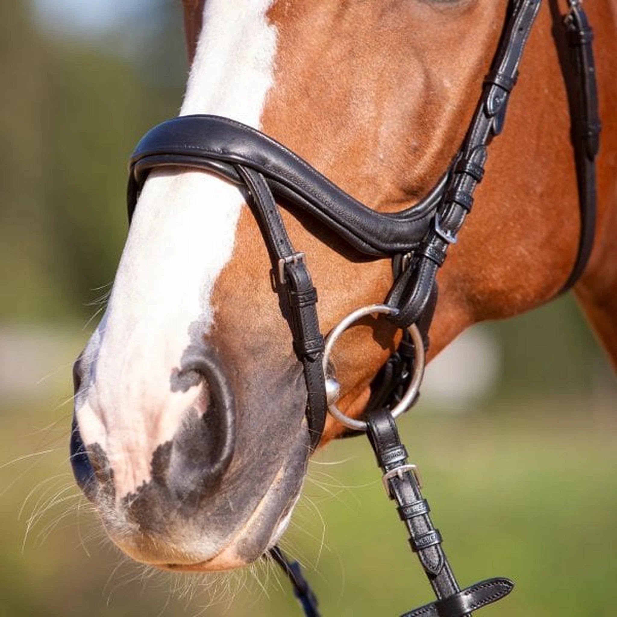 Kieffer Ultrasoft Amy Snaffle Bridle product photo