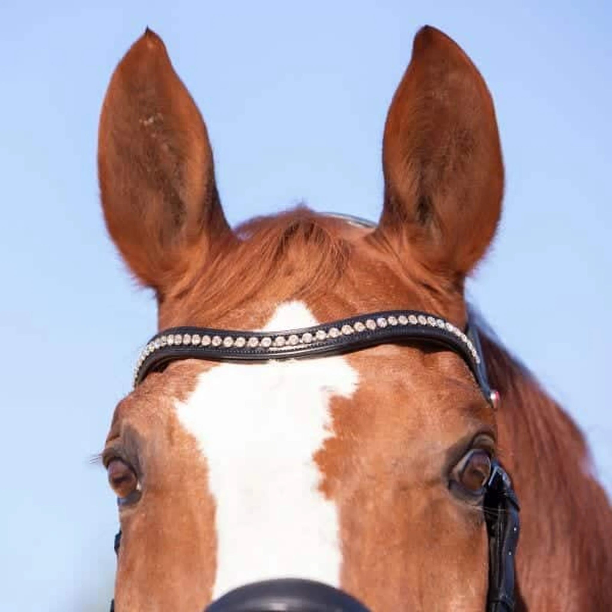 Kieffer Ultrasoft Amy Snaffle Bridle product photo