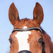 Kieffer Ultrasoft Amy Snaffle Bridle product photo