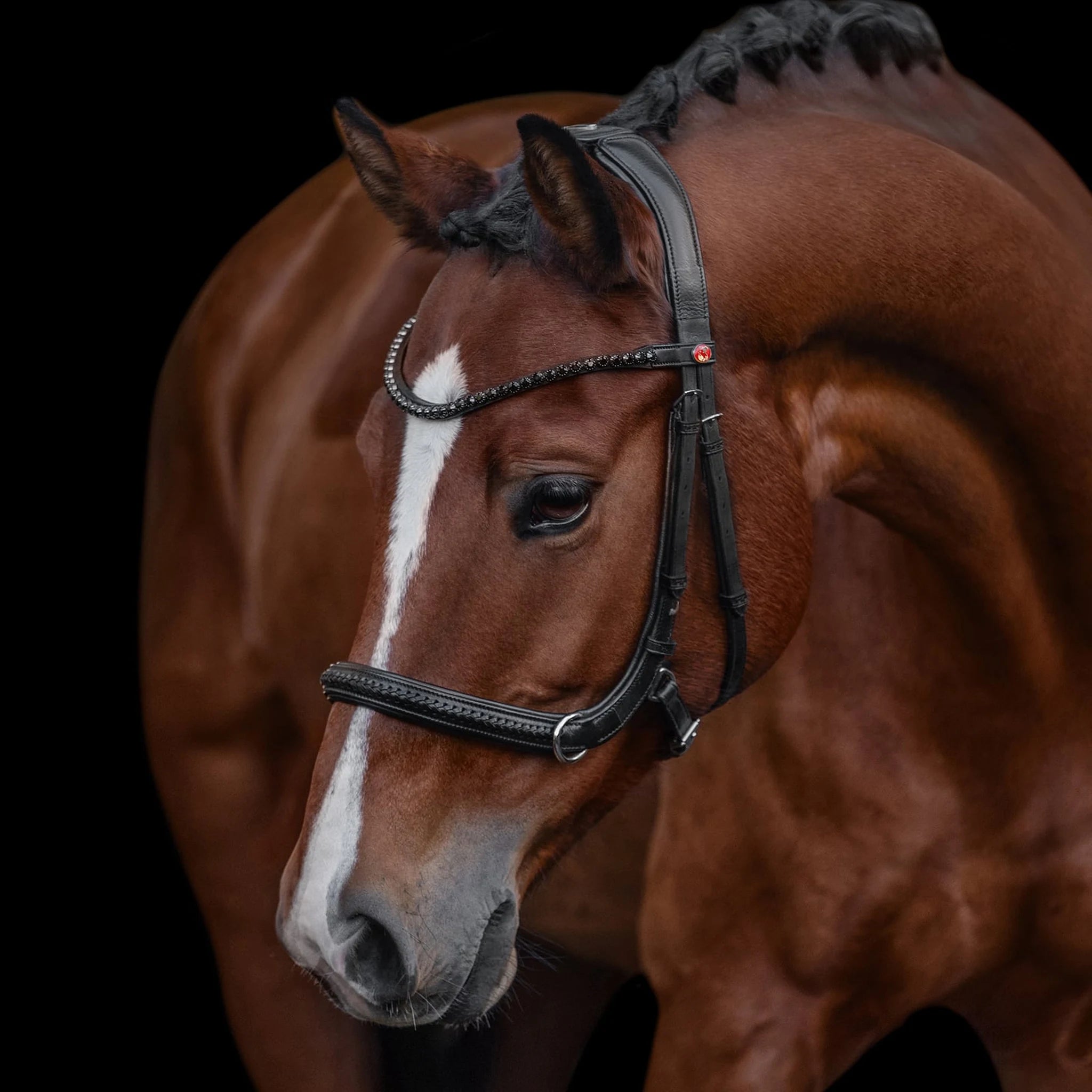 Kieffer Ultrasoft Ava 2 in 1 Snaffle and Bitless Bridle product photo