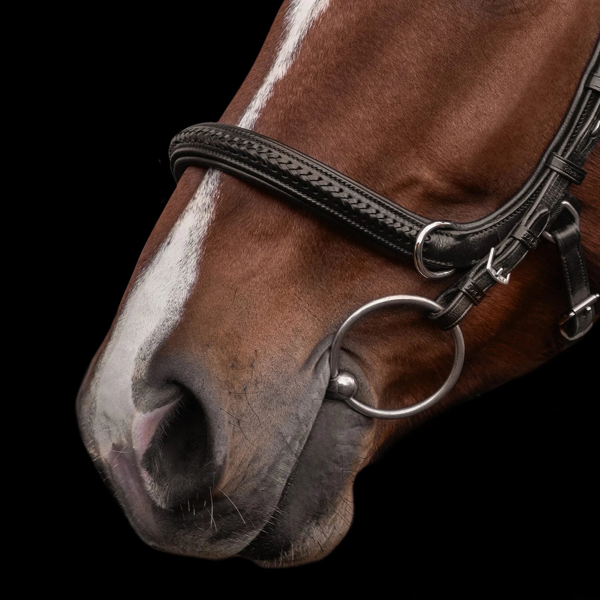 Kieffer Ultrasoft Ava 2 in 1 Snaffle and Bitless Bridle product photo
