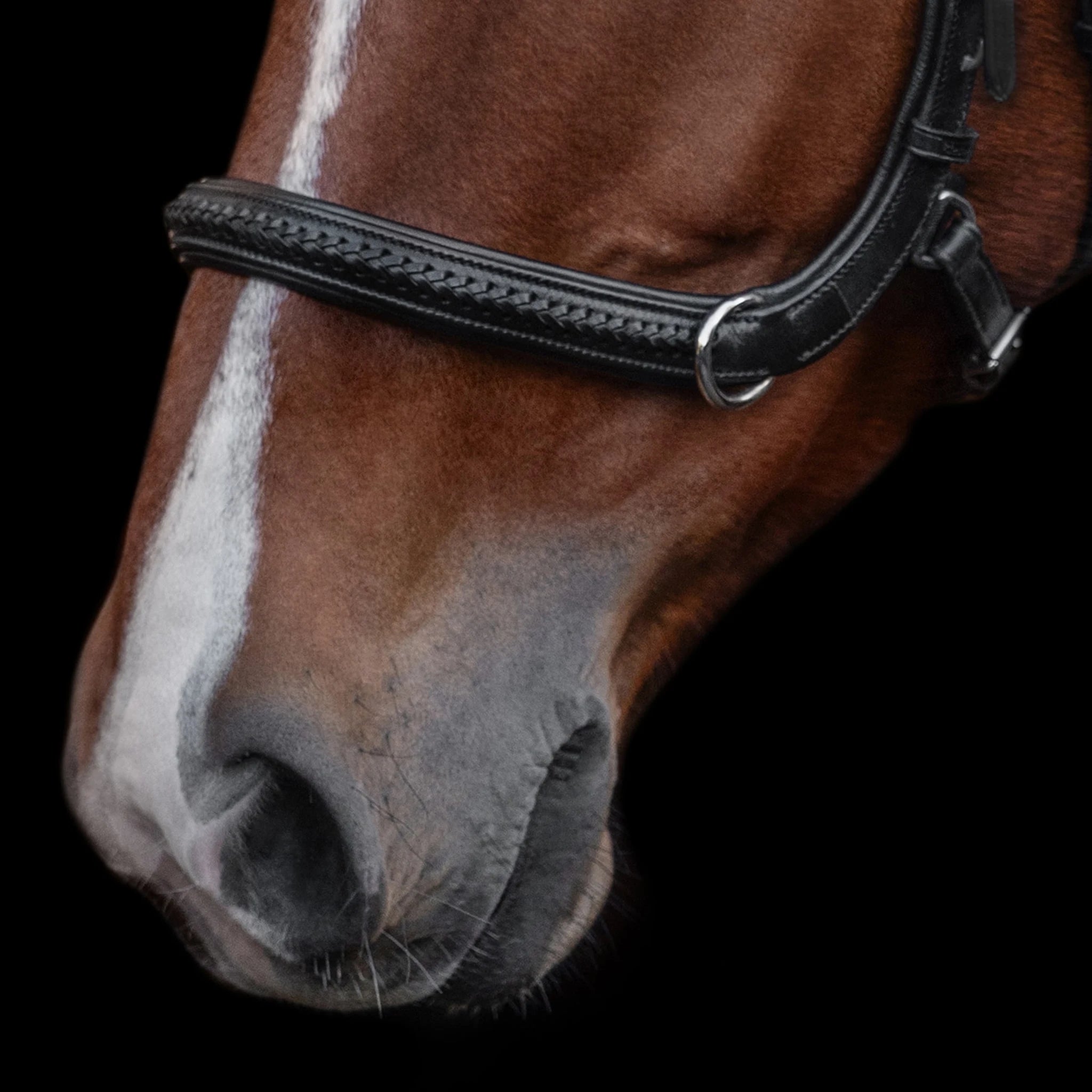 Kieffer Ultrasoft Ava 2 in 1 Snaffle and Bitless Bridle product photo