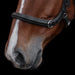 Kieffer Ultrasoft Ava 2 in 1 Snaffle and Bitless Bridle product photo