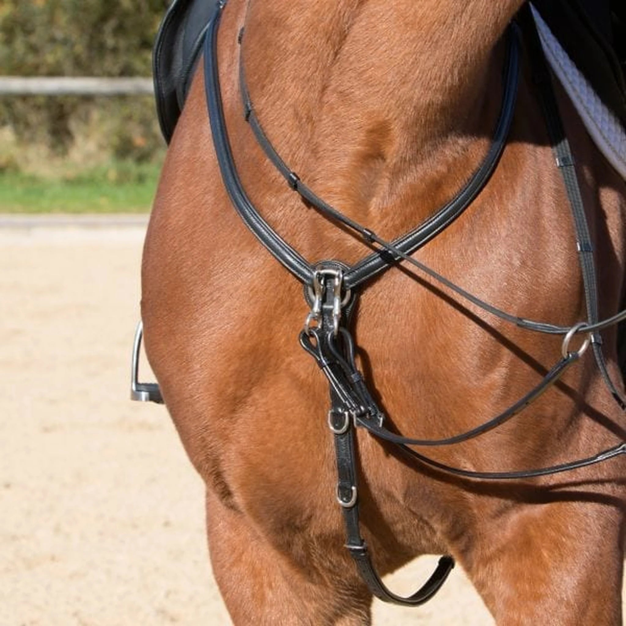 Kieffer Ultrasoft breastplate in black leather fitted on a horse.