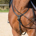 Kieffer Ultrasoft breastplate in black leather fitted on a horse.