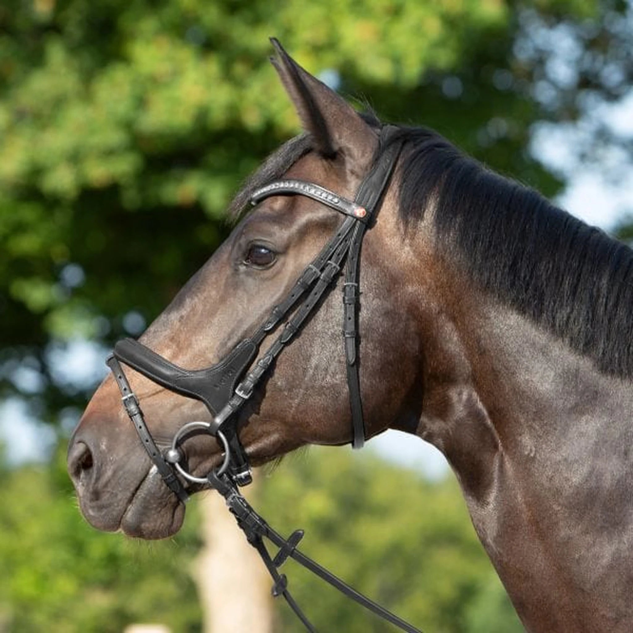 Kieffer Ultrasoft Celia Snaffle Bridle product photo