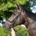 Kieffer Ultrasoft Celia Snaffle Bridle product photo