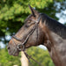 Kieffer Ultrasoft Celia Snaffle Bridle product photo
