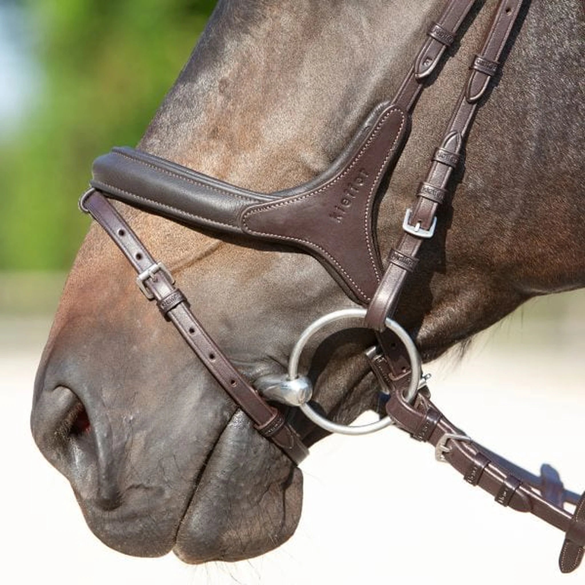 Kieffer Ultrasoft Celia Snaffle Bridle product photo