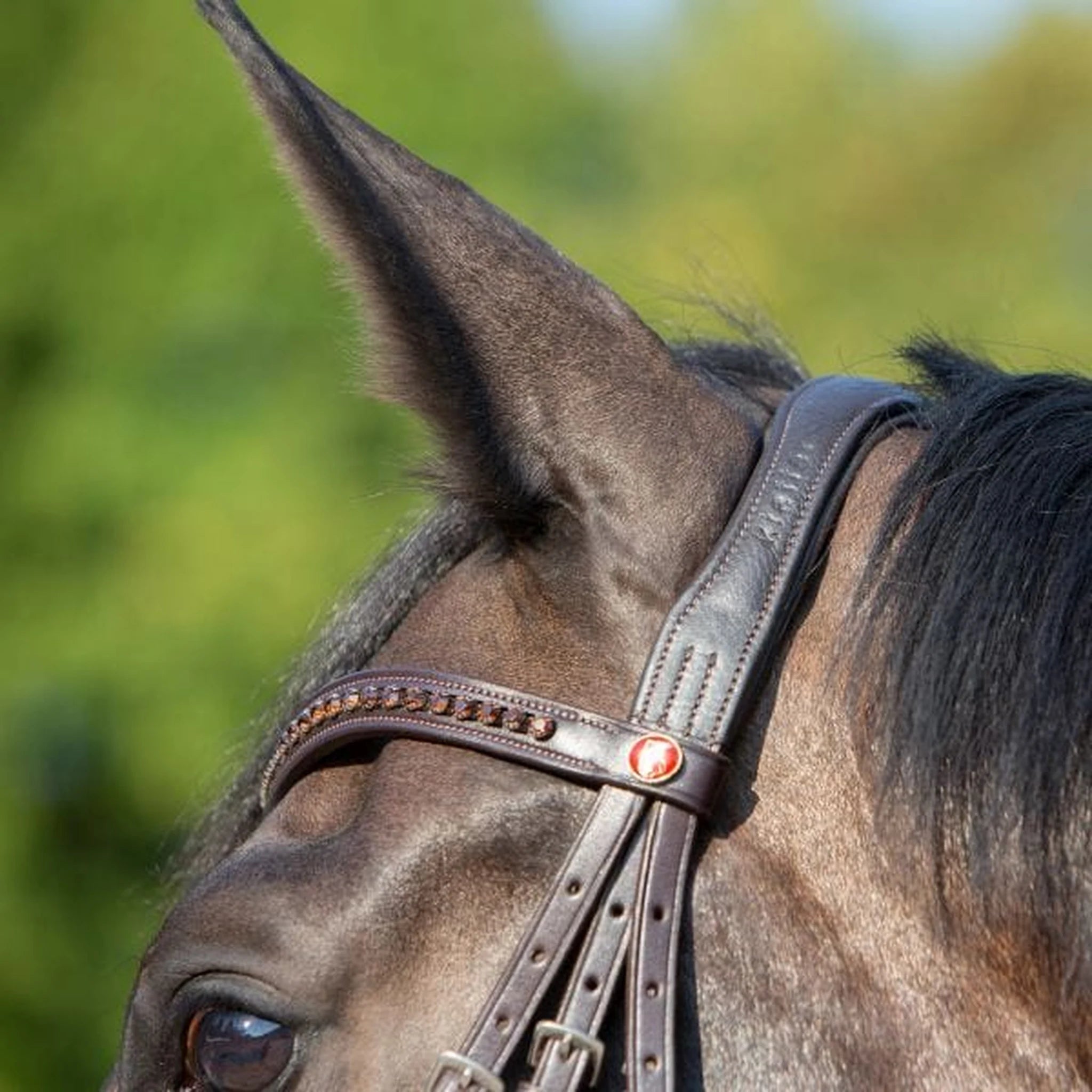 Kieffer Ultrasoft Celia Snaffle Bridle product photo