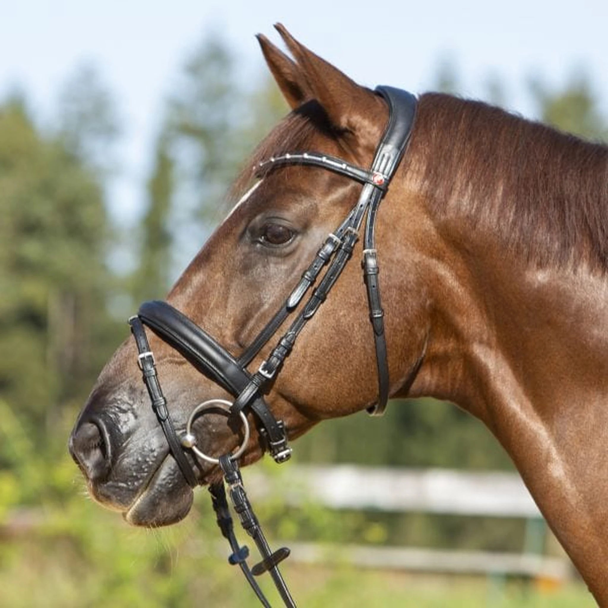 Kieffer Ultrasoft Economy II Snaffle Bridle product photo