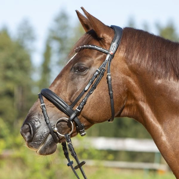 Kieffer Ultrasoft Economy II Snaffle Bridle